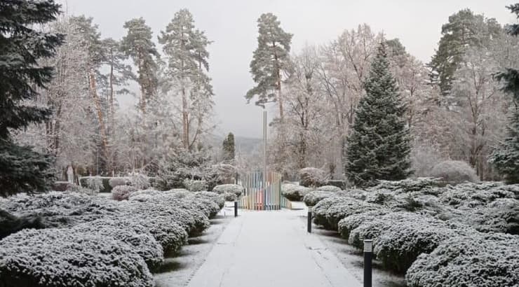 מקום מגוריו של עידן גולן
