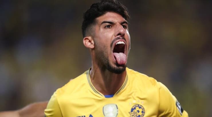 יונתן כהן חוגג