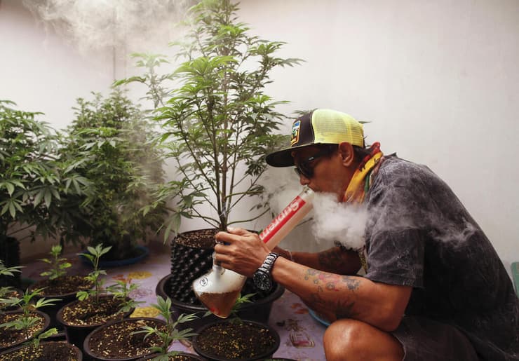 מעשנים ומגדלים מריחואנה קנאביס בעסק בתוך בית פרטי ב נקון נאיוק שבמרכז תאילנד שבה הוכרז על לגליזציה חלקית של הצמח