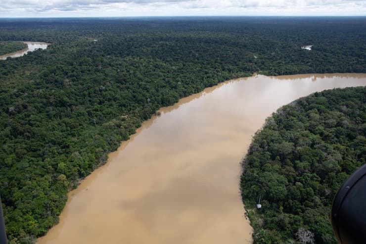 ברזיל נעדרים אמזונס דום פיליפס ברונו פריירה אזור נהר איטקוואיה
