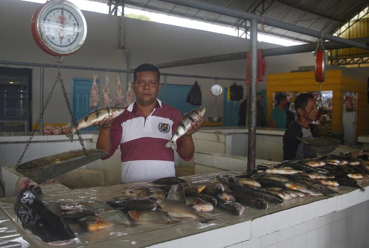 ברזיל נעדרים אמזונס דום פיליפס ברונו פריירה מוכר דגים אנטוניו רודריגז דו סנטוס מוכר דגים ב אטלאיה דו נורטה