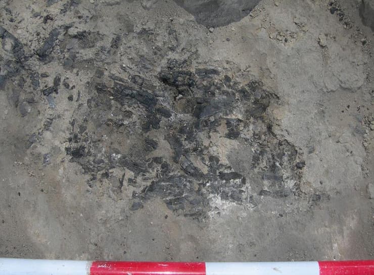 שרידי מדורה בת 7,000 שנים באתר תל צף