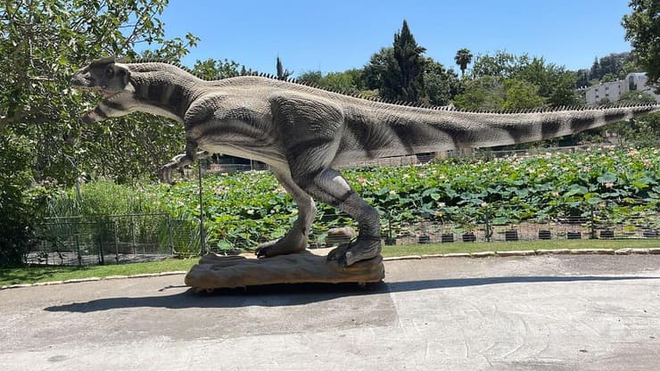 45 דגמים של דינוזאורים בגודל מקורי