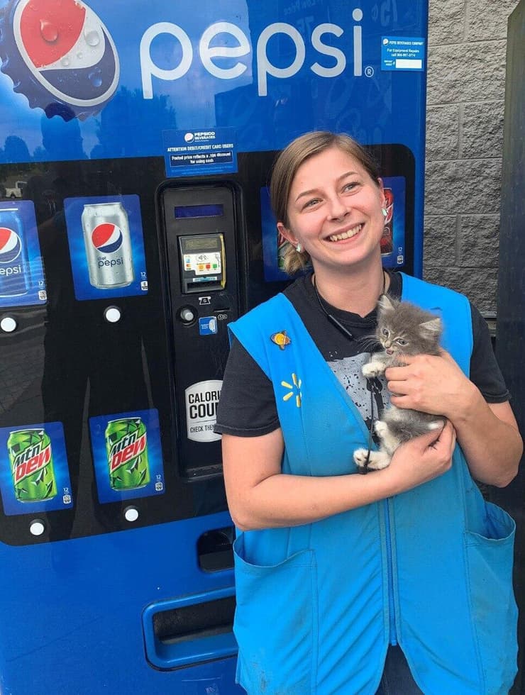 חתול שנלכד במכונת שתייה עם המחלצת שלו