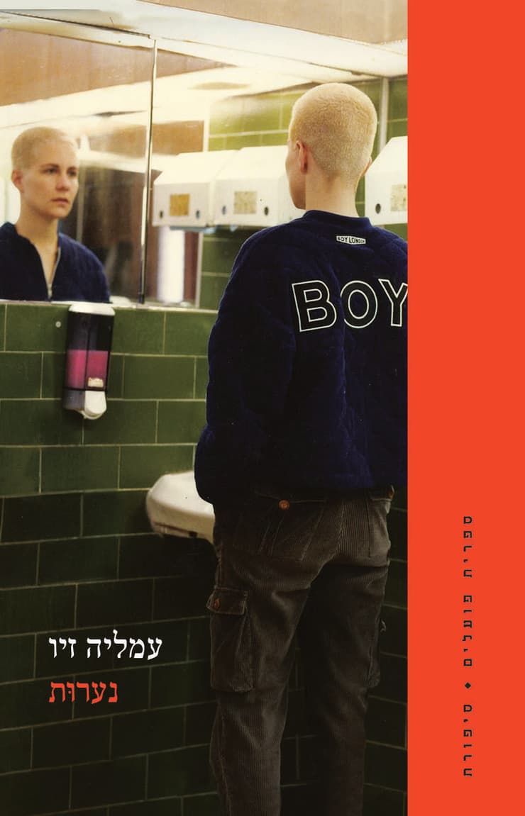 כריכת ספרה של עמליה זיו, "נערות"