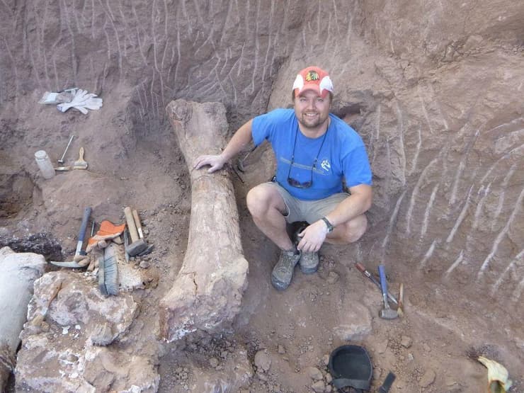 החפירות לגילוי עצמות הדינוזאור מראקסס גיגאס