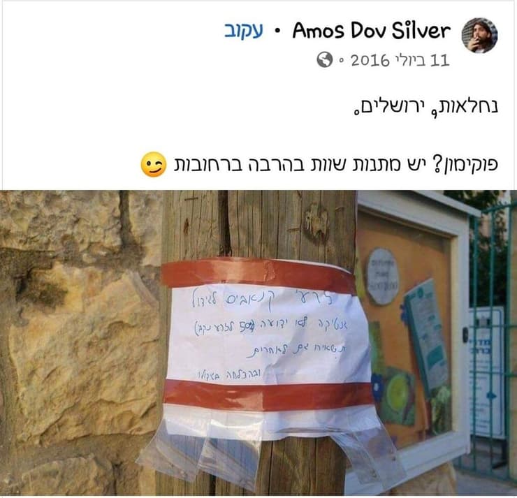 זרעי קנאביס בתרומה