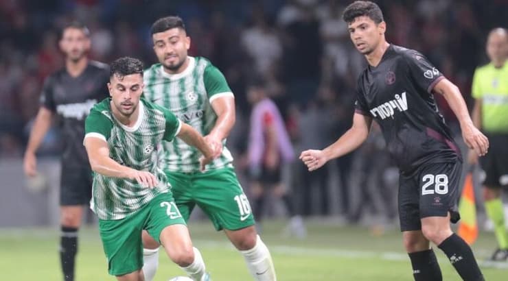 דין דוד בפעולה