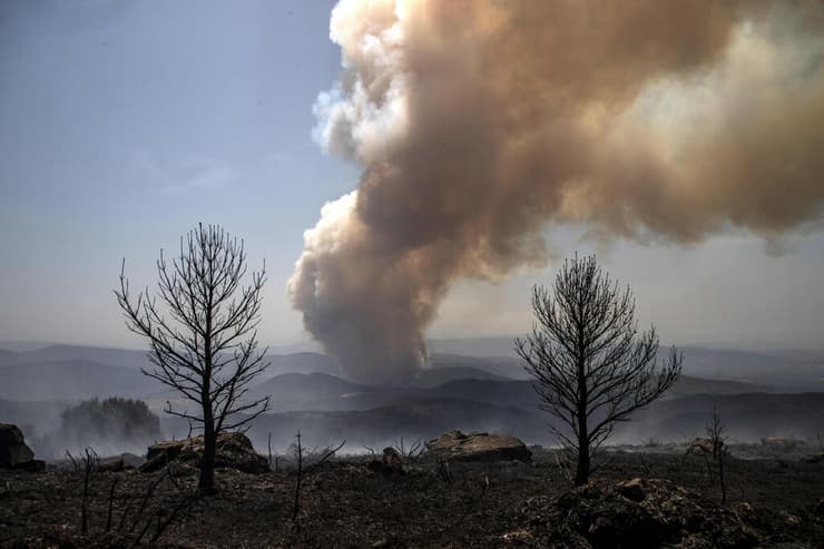 גל חום ב אירופה שריפה שריפת יער בחבל גליסיה ספרד 