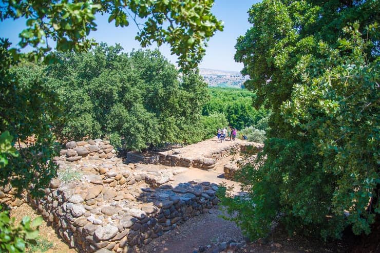 שרידי העיר המקראית תל דן
