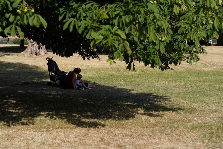 תופסים צל ב גריניץ' פארק ב לונדון בריטניה גל חום