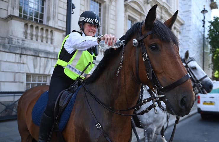 שוטרת רכובה פרש מצננת במים סוס ב לונדון ב גל חום בריטניה