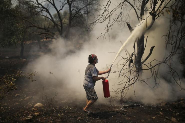שריפה בעצי יער כתוצאה מההתחממות הגלובלית