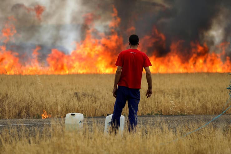 גל חום ספרד שרפה רועה צאן צופה בשדה נשרף