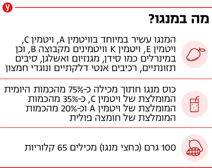 אינפו מנגו