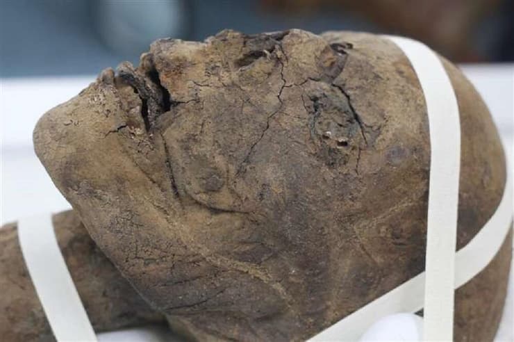 ראש המומיה המצרית הקדומה שמתוארך לפחות ל-2,000 שנה