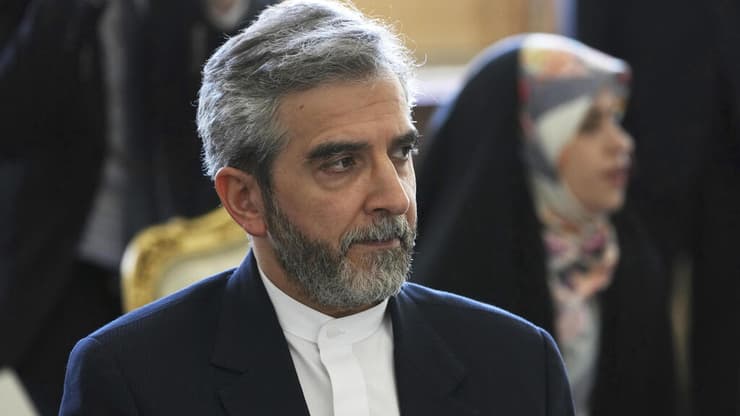 ראש צוות המשא ומתן של איראן שיחות גרעין וינה עלי באגרי קאני
