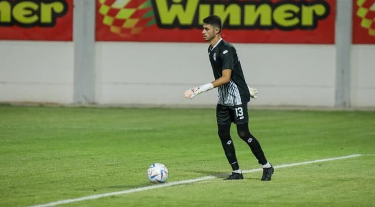 פורז ולקוביץ