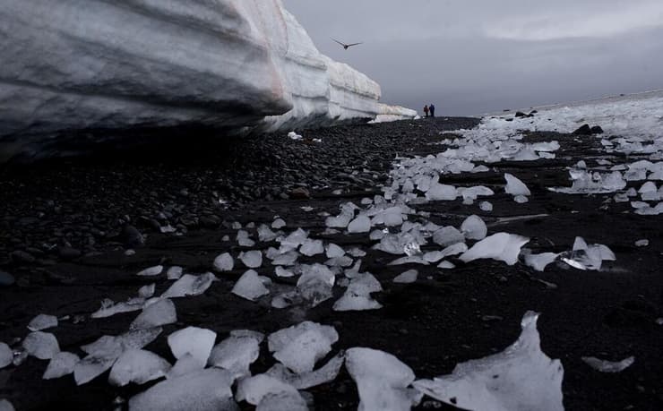 חתיכות של קרח שמפשירות ונמסות באנטארקטיקה
