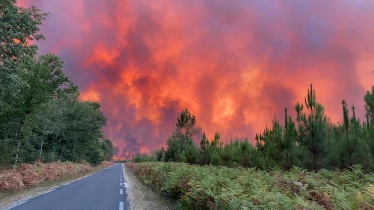 צרפת שריפת יער במחוז ז'ירונד דרום מערב המדינה 
