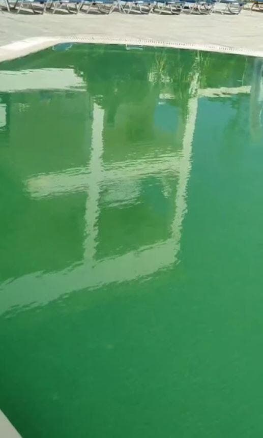 מים ירוקים בבריכה