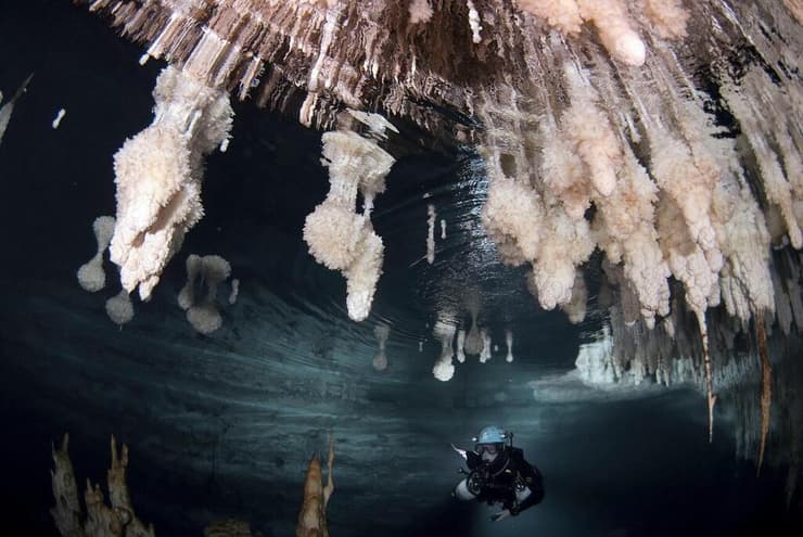 צוללנים מקצועניים מחפשים ספלאותמים (משקעי מינרלים שניוניים הנוצרים במערות) מתחת למים