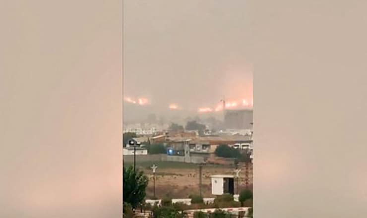 נזקי שריפה שריפות ב א-טארף בצפון אלג'יריה