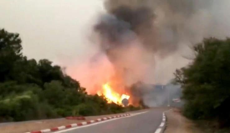 נזקי שריפה שריפות ב א-טארף בצפון אלג'יריה