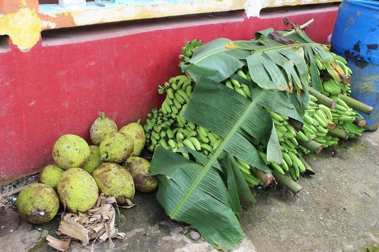 פירות עץ הלחם ובננות בדוכן פירות באי סנט וינסנט