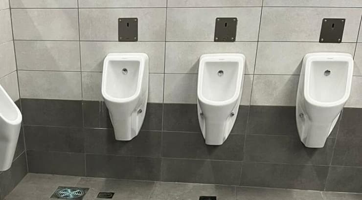 השירותים בבלומפילד (איטן דהן) השירותים בבלומפילד