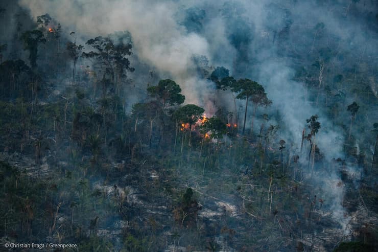 שריפת יערות באמזונס 