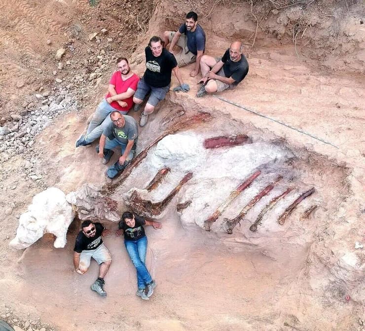 צוות הפליאונטולוגים הפורטוגלים והספרדים, לצד שרידי הדינוזאור שמצאו