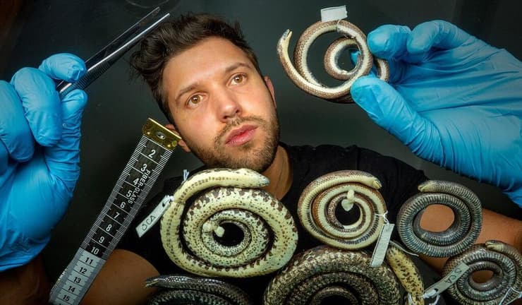אלחנדרו ארטאגה בוחן את הנחשים החדשים שהתגלו במחקרו