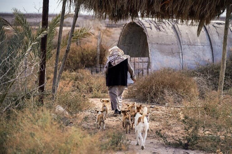 החקלאי מולה אל-ראשד עם כלביו ליד מפגש נהרות הפרת והחידקל