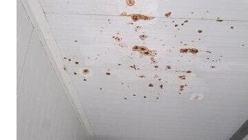 צילום: משרד מבקר המדינה חלון שבור וחלודה במחנה פלס