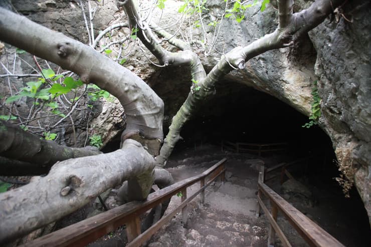 הכניסה למערת התאומים