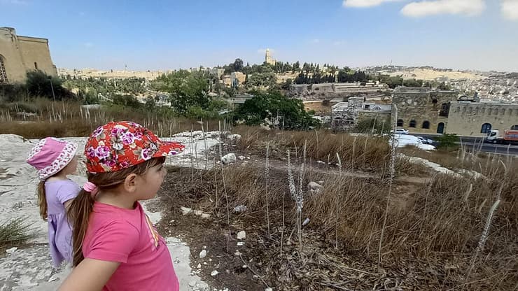 גבעת התנ"ך