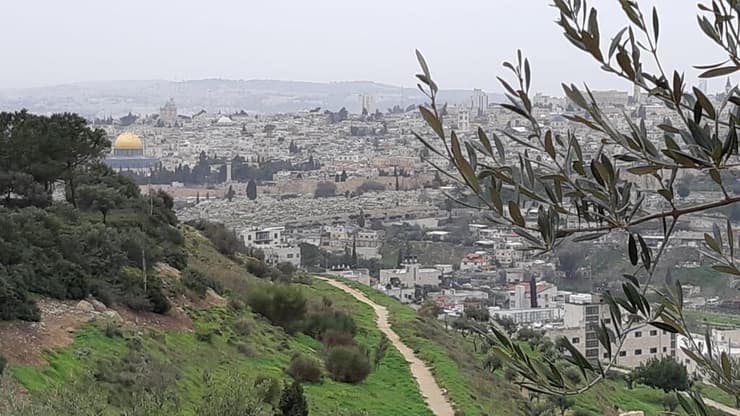 תצפית בירידה מהר הצופים אל הגן הלאומי עמק הצורים