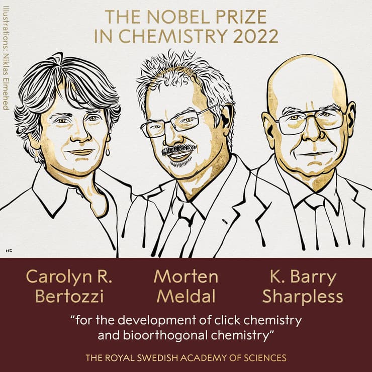 שלושת הזוכים בפרס נובל לכימיה