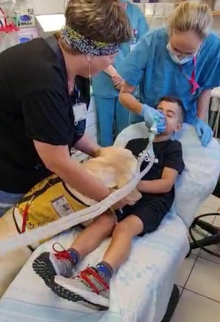  מוחמד חמזה והכלבה דונה בטיפול שיניים ברמב"ם