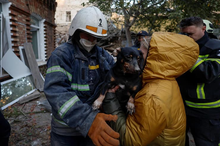 אוקראינה אישה עם כלב בזירת הפצצה שביצעה רוסיה ב מיקולאייב ב 18 אוקטובר