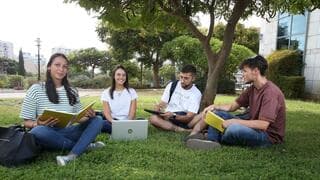 סטודנטיות וסטודנטים במדשאות באוניברסיטת בר אילן