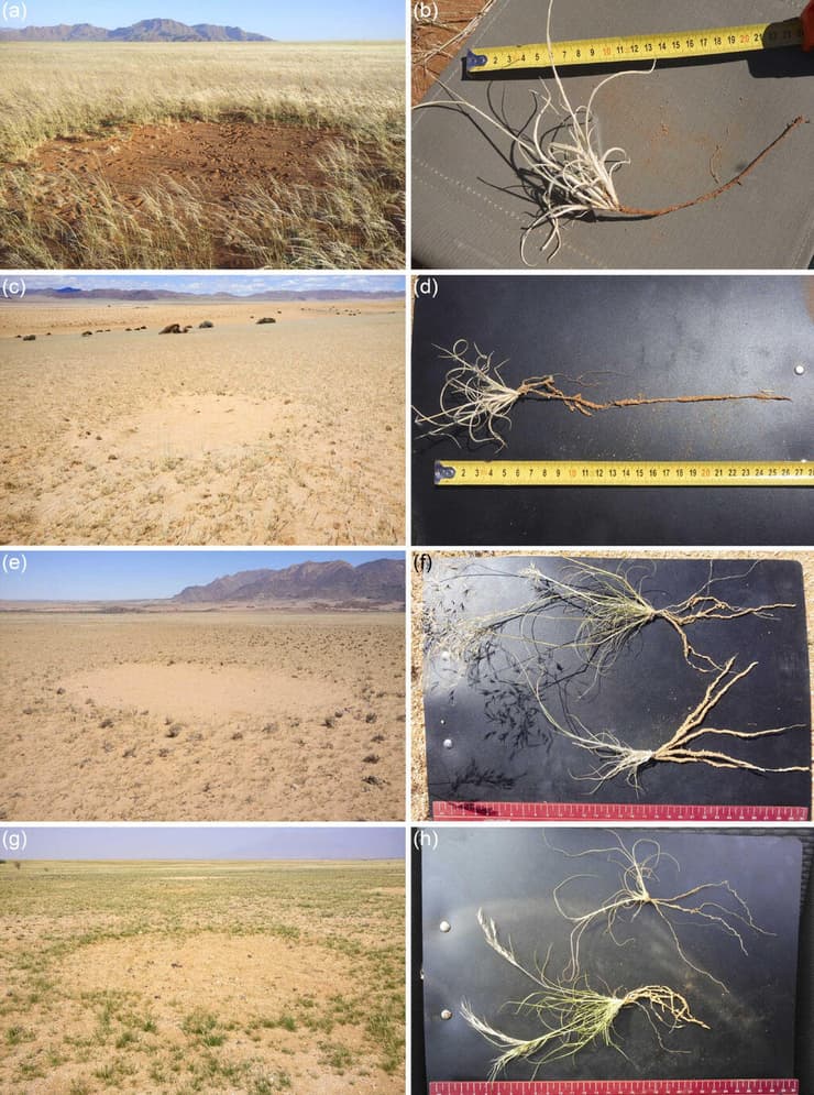 מספר דוגמאות מהחפירות שבוצעו בשנת 2021 במדבר נמיב שבנמיביה