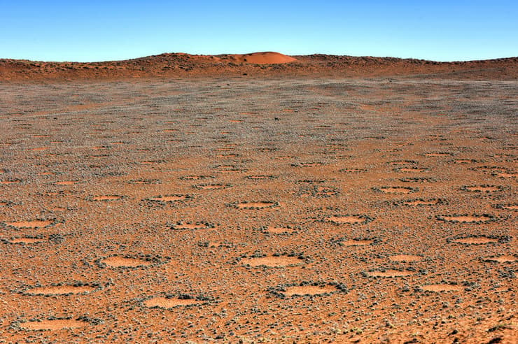 מעגלי הפיות במדבר נמיב שבנמיביה