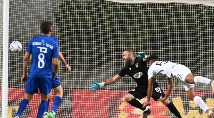 רועי דיין נוגח