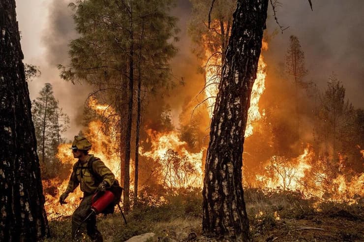 שריפות יער בקליפורניה