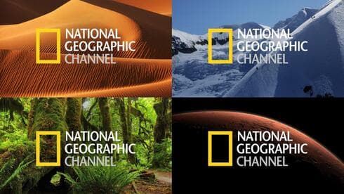המסגרת הצהובה שעשתה היסטוריה: הלוגו של נשיונל ג'יאוגרפיק