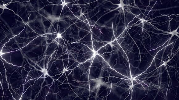 רשתות נוירונים מלאכותיות המיושמות במחשבים מחקות במובנים רבים את רשתות העצבים בגוף. רשת של תאי עצב