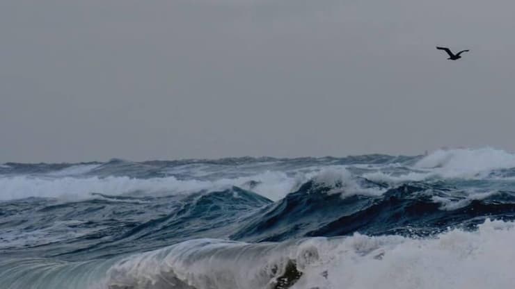 פלמחים (צילום: שלומי יצחקי, רשות הטבע והגנים) גלים בפלמחים