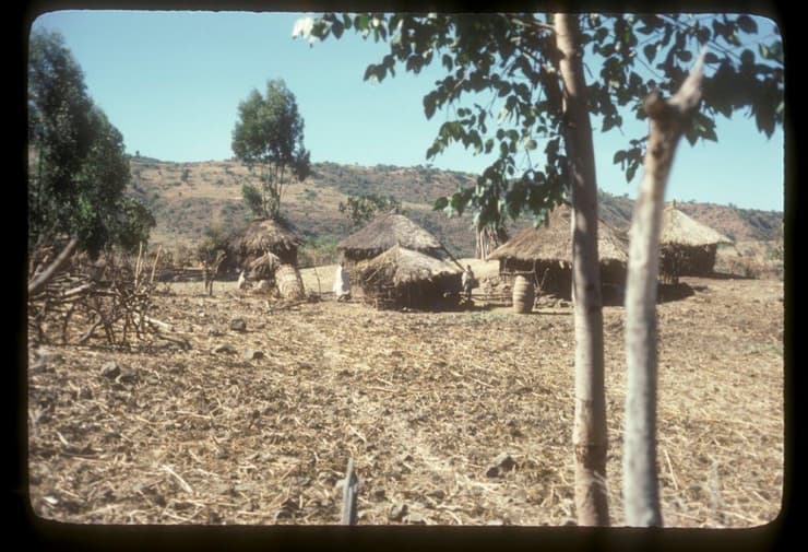 אמבובר, אתיופיה, 1978
